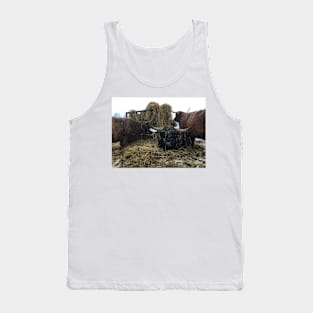 Scottish Highland Cattle Cows and Bull 2181 Tank Top